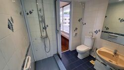 Dunearn Road (D11), Condominium #594073421
